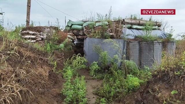 Video by суровые коты донбасса