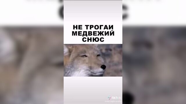 Плотно и жостко 