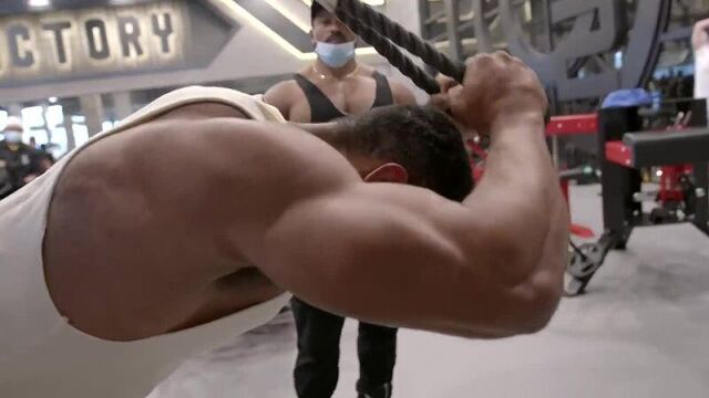 [larry wheels] olympian with the best arms in bodybuilding - roelly winklaar