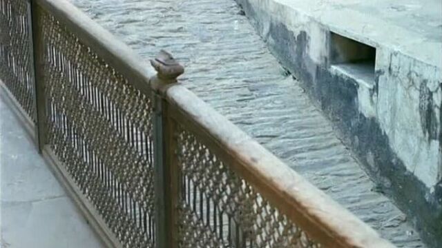 The cloud door (1994)