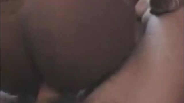 Колин фаррелл и николь нараин порно - colin farrell & nicole narain sex tape