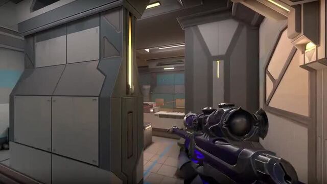 Reaver operator lvl 4 valorant