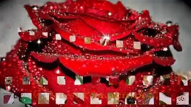 З днем народження, сестричко!!!