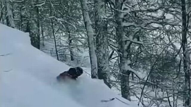 Антон цюх - фрирайд на красной поляне