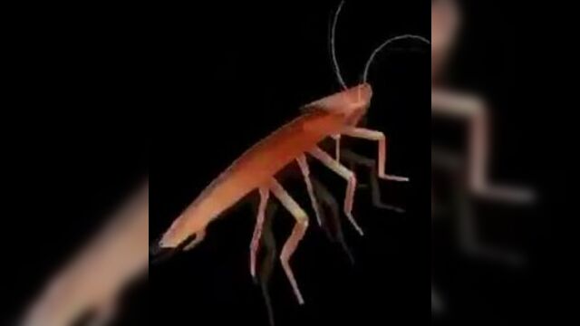 Таракан сергей наелся сала и зафлексил под украинский татарстан супер гуд