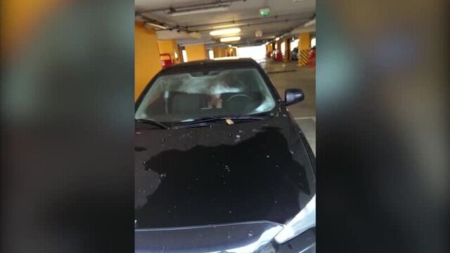 Ебут в машине на парковке