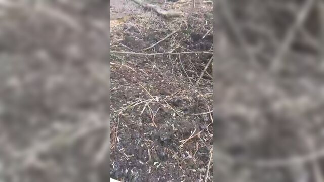 Video by мирный плесецк барахолка