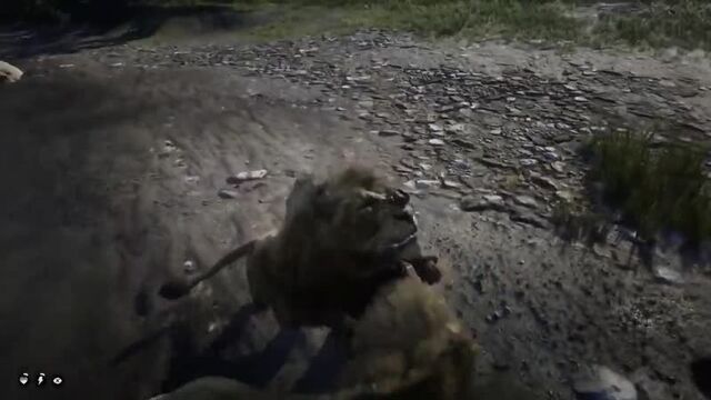 Rdr 2 — мика белл забит до смерти стаей львов