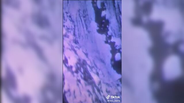 Баки барнс | тик ток