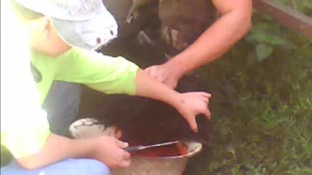 Бисмилляхи рахмани рахим