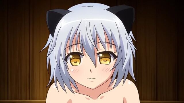 Tensei kendo no harem colosseum