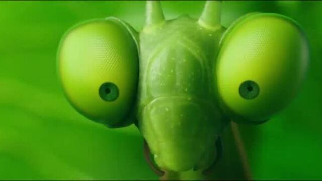 Мультфильм букашки 2 (2019) - русский трейлер