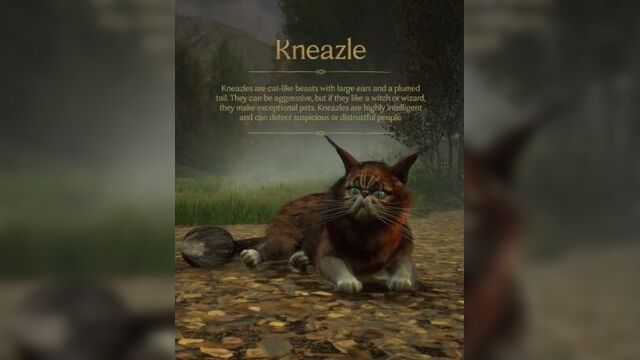 ????авторы hogwarts legacy рассказали про ещё одно волшебное существо - кошкоподобного жмыра. «жмыр — кошачьи звери с большими уша