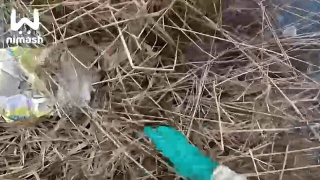 Автозаводец заставил тсж соседнего жк помочь ему с уборкой озера