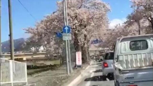 Сакура из аниме в реальности | kawaii tumblr