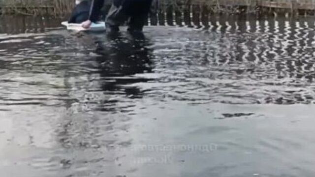 Дедушка катает внука в воде!