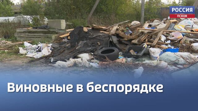 Дачники снт "пристань-1" поставили камеру, чтобы узнать, кто устраивает свалку в посёлке