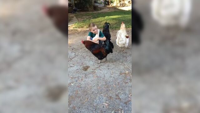 Любит пообнимать суповой набор)) надеемся, что он не станет их кушать)