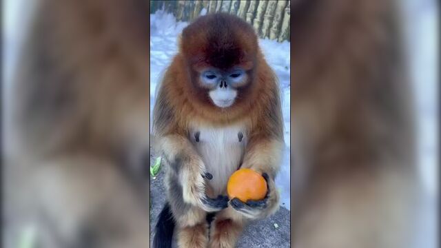 Невкусно? зато полезно!