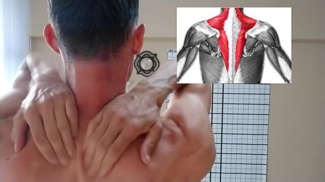 [александр сахний] самомассаж шеи + упражнения