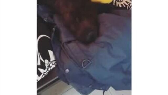 Альба флорес и найва нимри дурачатся в сториз найвы во время съёмок визави #1