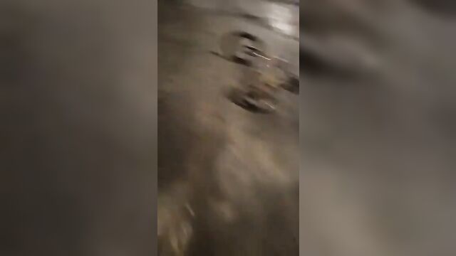 Random moaning audio #1 is a must hear!