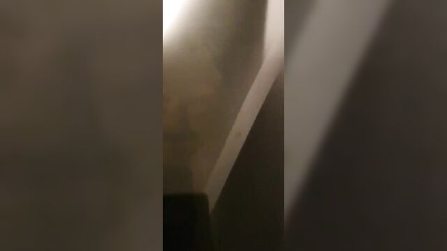 Couple caught having sex in their car in a public place