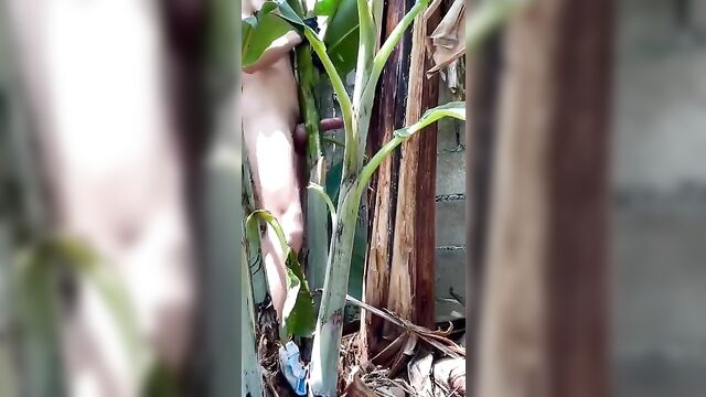 When the need knocks, the guy eats until the banana tree 🤣🌳🍌