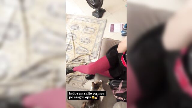A cute cat was trained to perform intimate tricks