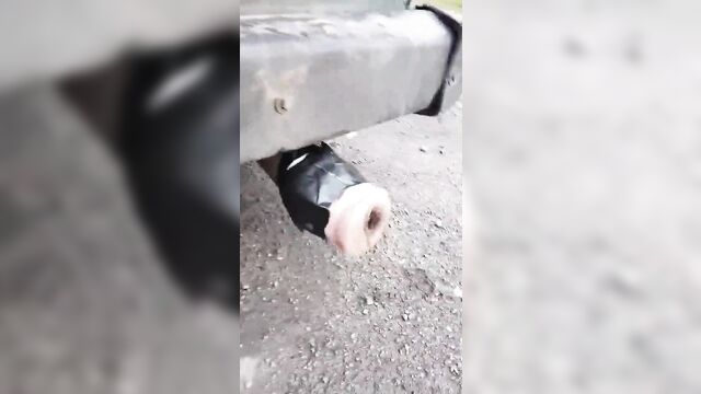The guy's muffler was clogged with shit, so he called a plumber