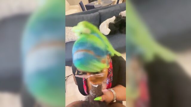 My son, i made the bully’s cock disappear, he won’t bother you anymore
