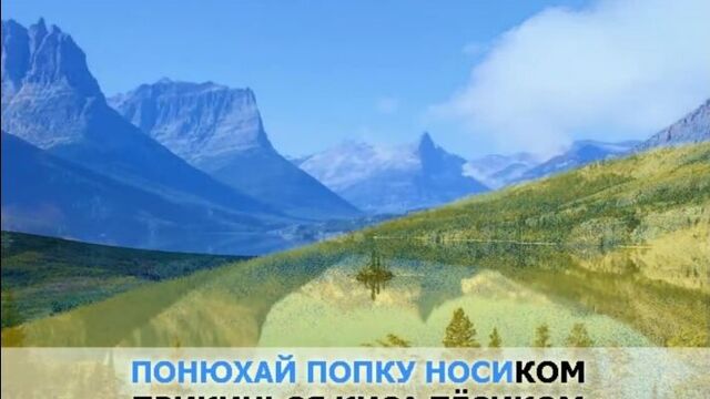 «шмон», воровайки_ караоке и текст песни