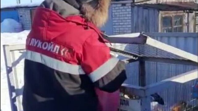 Video by живая тужа