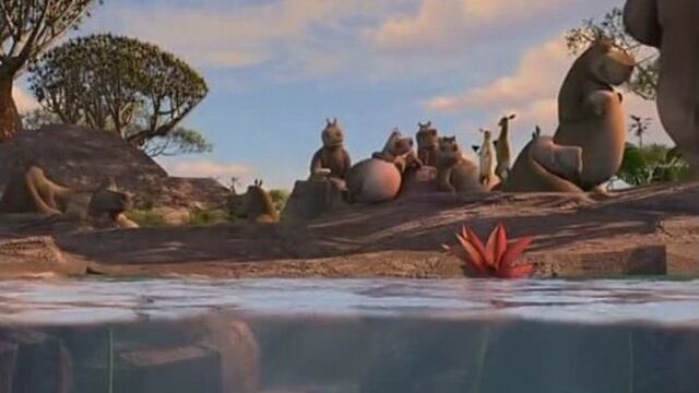 Мадагаскар 2 бегемот мото-мото