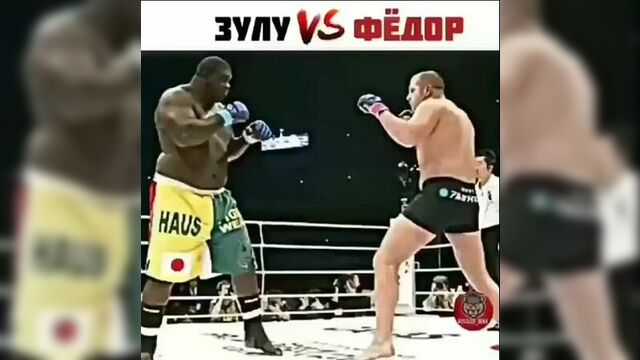 Зулузиньо - емельяненко