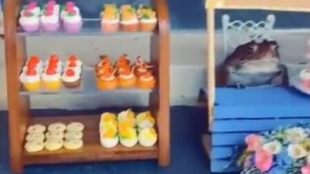 Ударный батальон "ржомба"-107