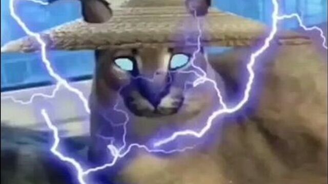 Большой шлеппа, фаталити код