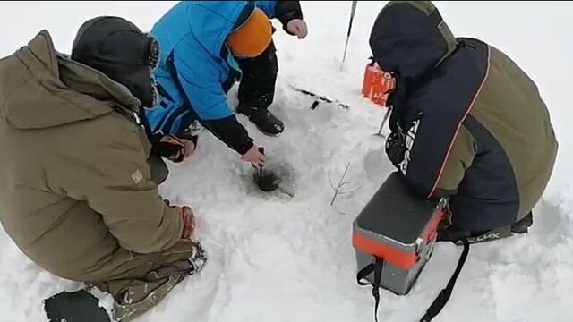 Video by кайман рыболовные снасти киров - слободской