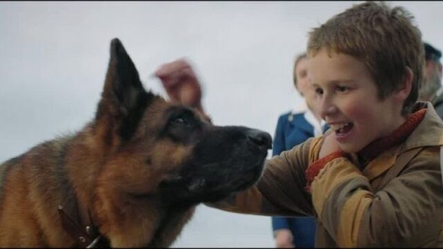 Фильм "пальма": уже в кино!