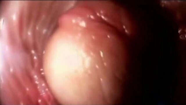 Видео порно представляет: член в вагине. (видео с прикреплённой к члену камеры внутри вагины), 18+: