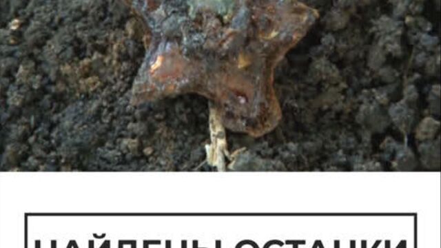 Найдены останки советских солдат