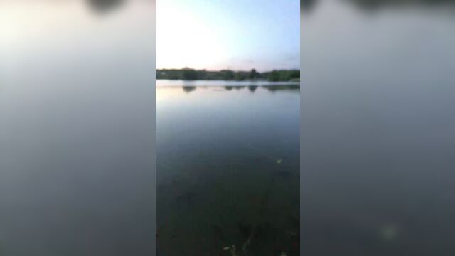 Live: рыбное место