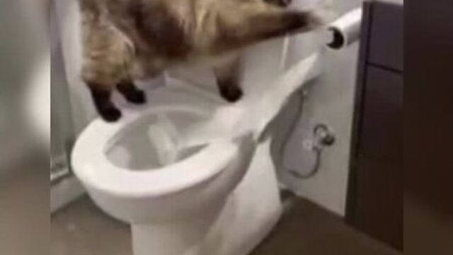 Вот куда она пропадает