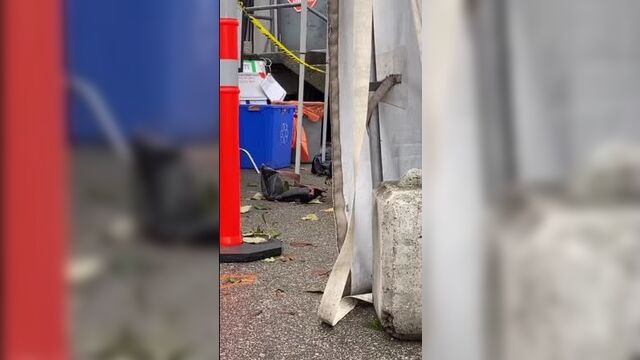 Инстасторис alecia maslechko.