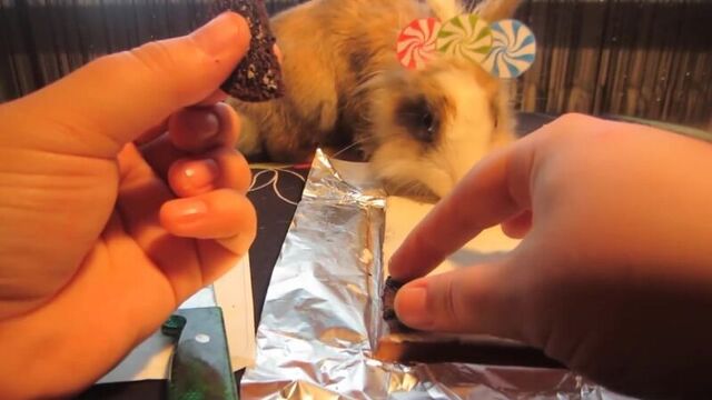 [а ну-ка давай-ка] кролик баффи и oreo nesquik giant chocolate candy! слишком много конфет для баффи шоколадка для бафи