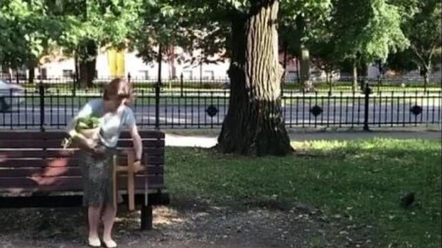 Video by вавилов лофт