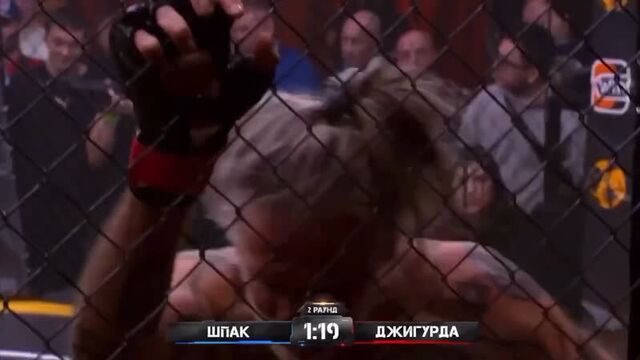 Джигурда против шпака