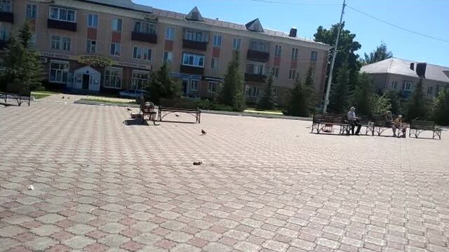 Video by в азнакаево поймут