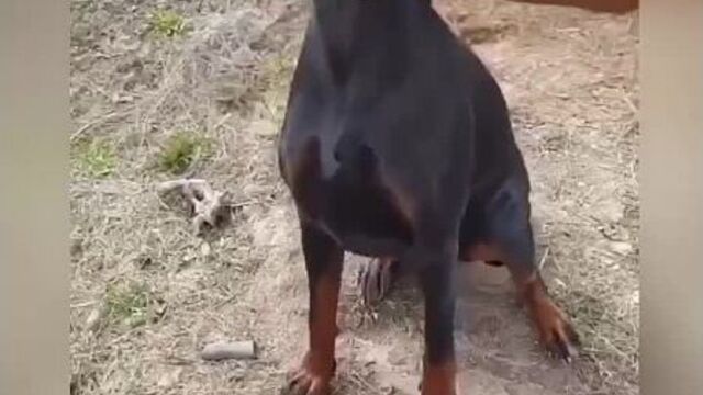 Умный негр и лайфхаки из тик-тока встратые лайфхаки тупые лайфхаки.mp4