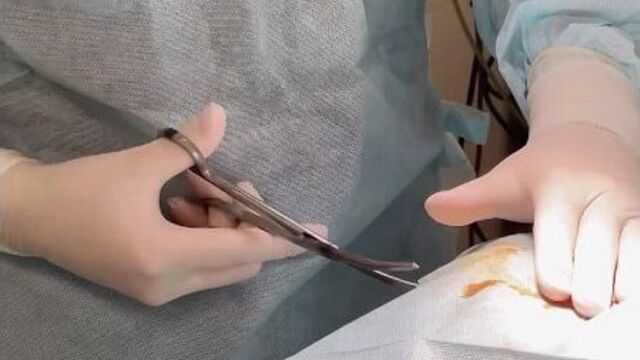 Video by ветдоктор — ветеринарная клиника в екатеринбурге